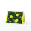 DANDELION cards by dequilla DANDELION cards