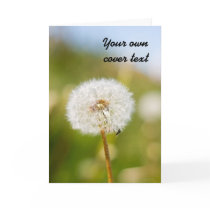 Dandelion cards