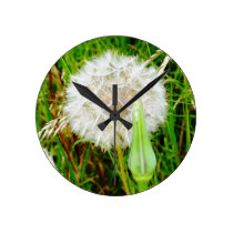 Dandelion Clock