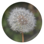 Dandelion Clock / Fluffy Parachutes Party Plates