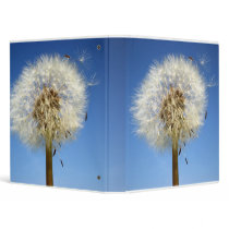 Dandelion Close-up binders