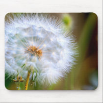 Dandelion Detail mousepads