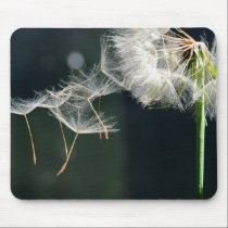 Dandelion Detail mousepads