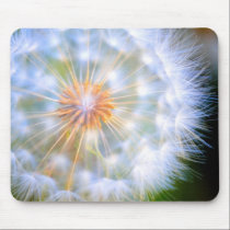 Dandelion Detail mousepads