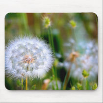 Dandelion Detail mousepads