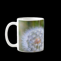 Dandelion Detail mugs