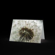 Dandelion Dreams Card cards