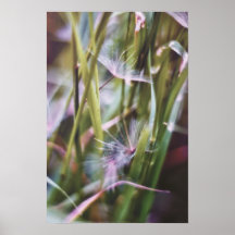 Dandelion Dreams Print