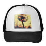 dandelion dreams hats