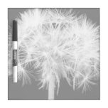 Dandelion Dry Erase Board