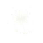 Dandelion Fairies Black Tee