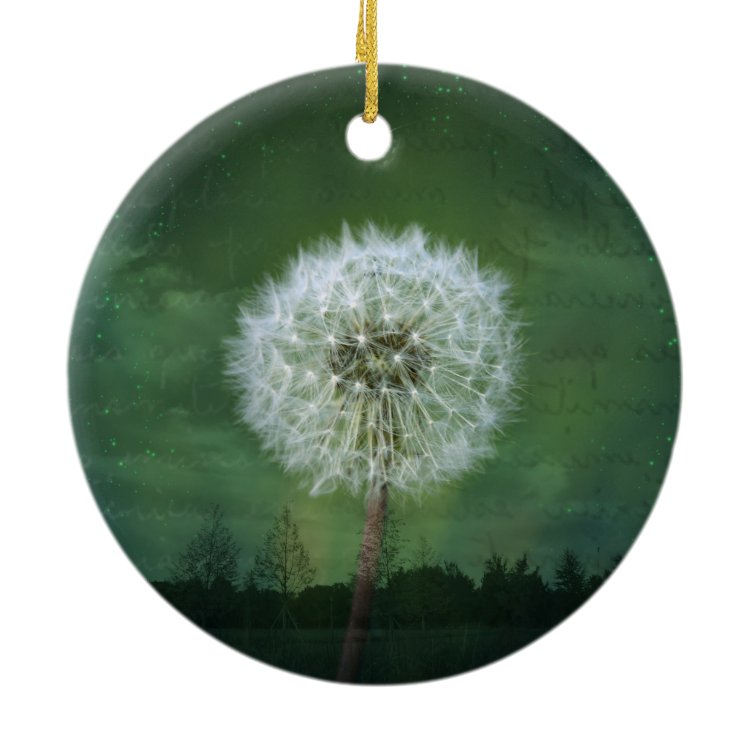 Dandelion Flower Fluff Starry Sky Art