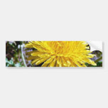 Dandelion Flower In Grass Bumper Stickers