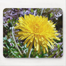 Dandelion Flower In Grass Mousepads