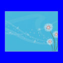 Dandelion Fun postcards