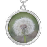 Dandelion Fuzz Necklace necklaces