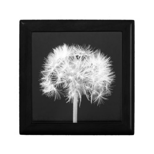 Dandelion Gift Box