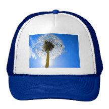 Dandelion Hat