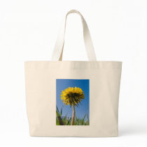 Dandelion in bloom bags