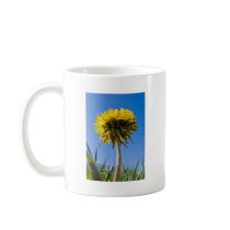 Dandelion in bloom mugs