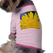 Dandelion In Blossom pet clothing by lifesphere Dandelion In Blossom pet clothing