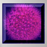 Dandelion in pink poster