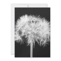 Dandelion Invitation