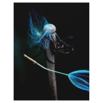 Dandelion letterhead by laureenr Dandelion letterhead