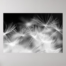 Dandelion macro beauty print