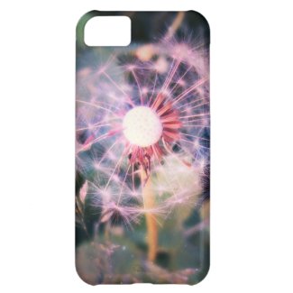 Dandelion Magic Cover For iPhone 5C