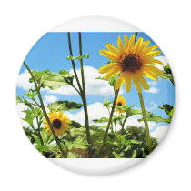 Dandelion magnets by flamrtileguy Dandelion magnets