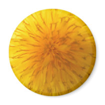 Dandelion magnets by ribizlifozelek Dandelion magnets