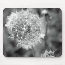 Dandelion Mouse Pads
