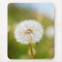 Dandelion mousepads
