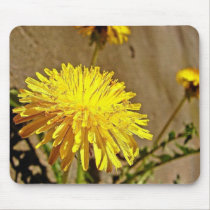 Dandelion mousepads