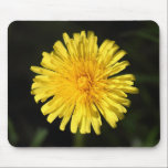 Dandelion mousepads