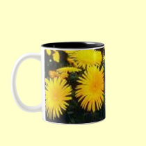Dandelion mugs
