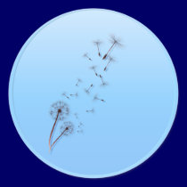 Dandelion on Baby Blue Stickers