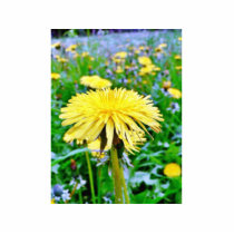 Dandelion On Field photo sculptures