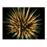 Dandelion on Fire Postcards