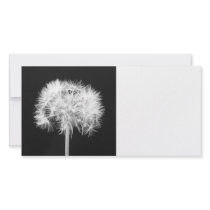 Dandelion Photo Card