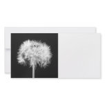 Dandelion Photo Card