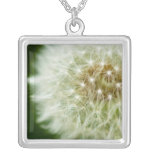 Dandelion Photo Necklace necklaces