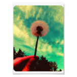 Dandelion Photo Print photography
