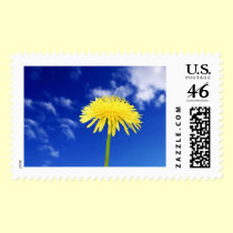 Dandelion postage