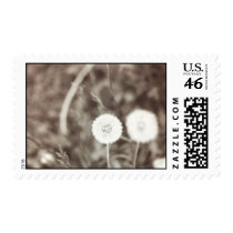 dandelion postage