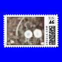 dandelion postage