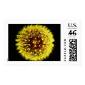 Dandelion postage by ggbythebay Dandelion postage