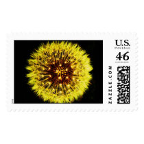 Dandelion postage