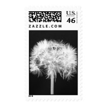 Dandelion Postage